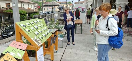 Dobimo se v Kindlerjevem parku (5)_Tamara o divjih opraševalcih